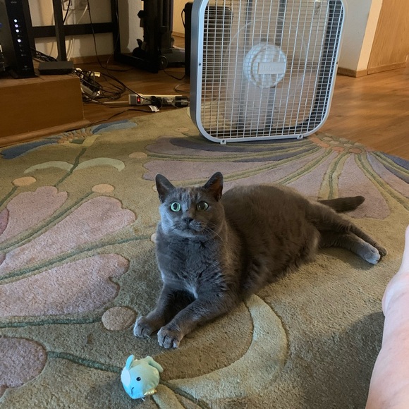 Meet your Posher, Sherry - Picture 11 of 11